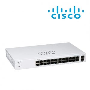 Unmanaged Switch (24 )port gigabit (CBS110-24T-EU)